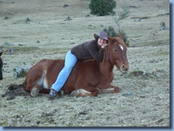 Alejandra sitting on a lying horse on a horseback trailriding clinic at antilco, southern Chile. 